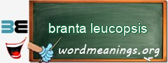 WordMeaning blackboard for branta leucopsis